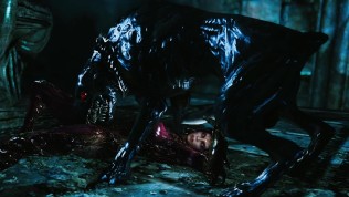 skyrim Queen of Blades Sarah Kerrigan porn